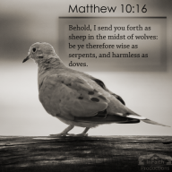Matthew 9-10